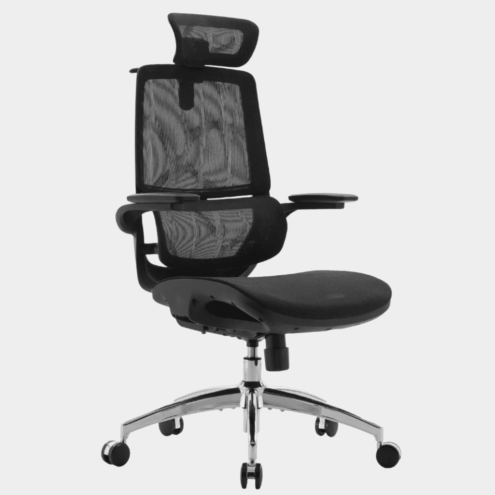 SIHOO M59AS Ergonomic Chair